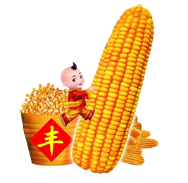 玉米测水仪
